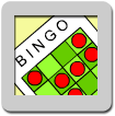 bingo lesson plan pdf